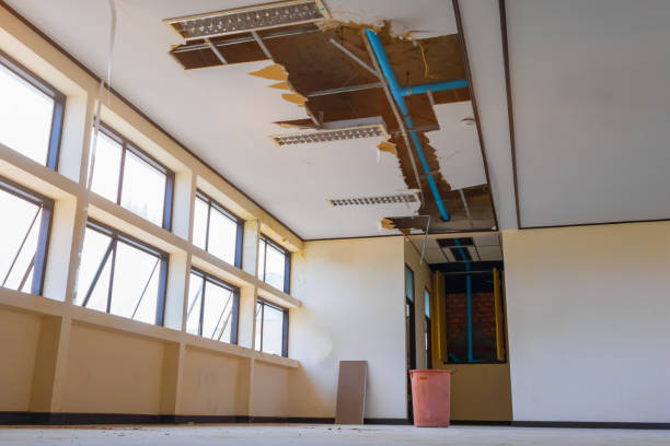 Best Local water damage restoration  in Big Pine, CA