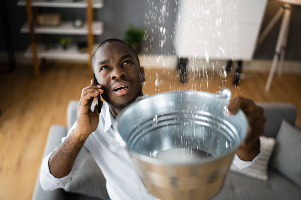 Best Basement water damage restoration  in Big Pine, CA