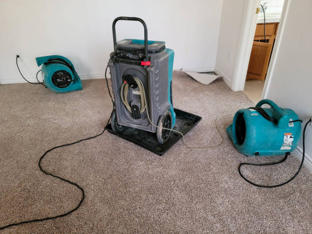 Best Fire Damage Restoration  in Big Pine, CA