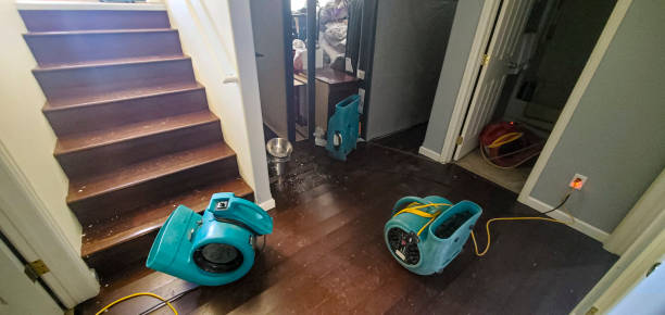 Best Water damage restoration near me  in Big Pine, CA