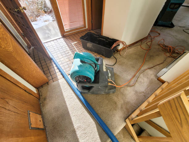Best 24/7 water damage repair  in Big Pine, CA