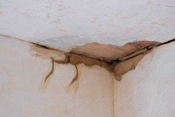 Best Residential water damage restoration  in Big Pine, CA
