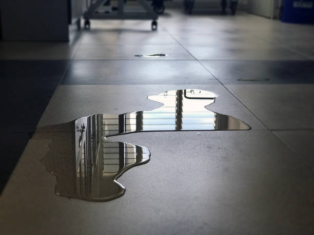 Best Emergency water damage restoration  in Big Pine, CA