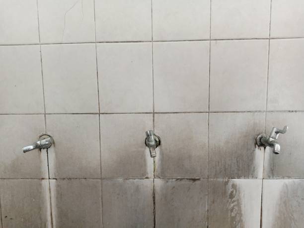 Best Flooded house restoration  in Big Pine, CA