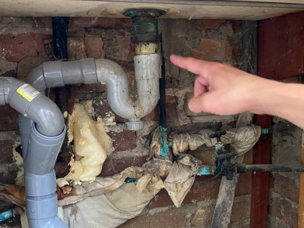 Best Flood damage cleanup  in Big Pine, CA